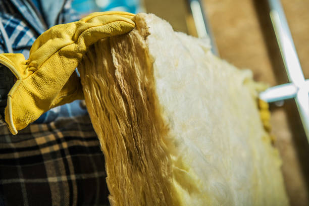 Best Commercial Insulation in Eldon, MO